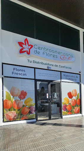 Distribuidora Centroamericana de Flores - Sucursal Santiago de Veraguas