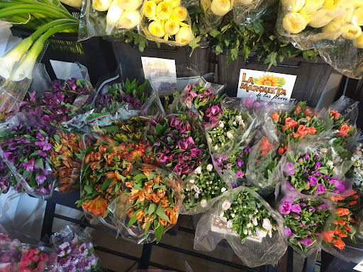 La Marqueta de las Flores | Bella Vista