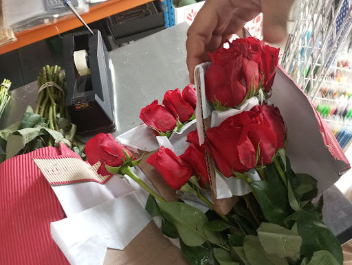 Distribuidora Centroamericana de Flores - Sucursal David