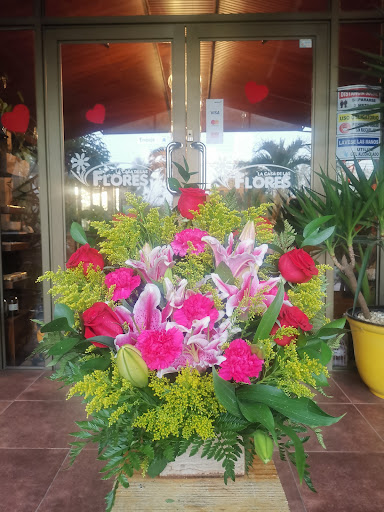 La Casa de las Flores