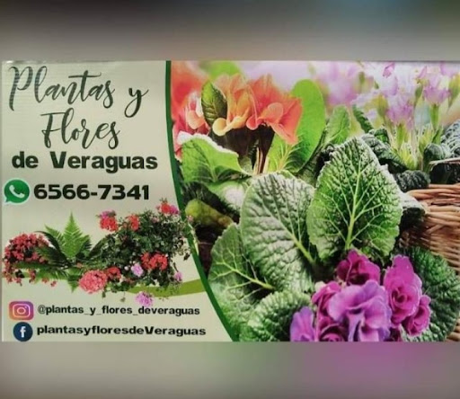Plantas y flores de Veraguas
