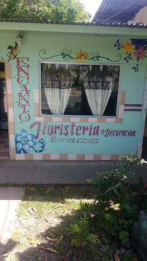 Encanto Floristería y Decoración