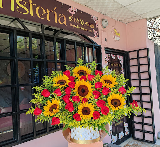 Golden Roses Chiriquí