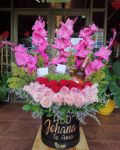 La Casa de las Flores