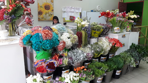 La Marqueta de las Flores | Bella Vista