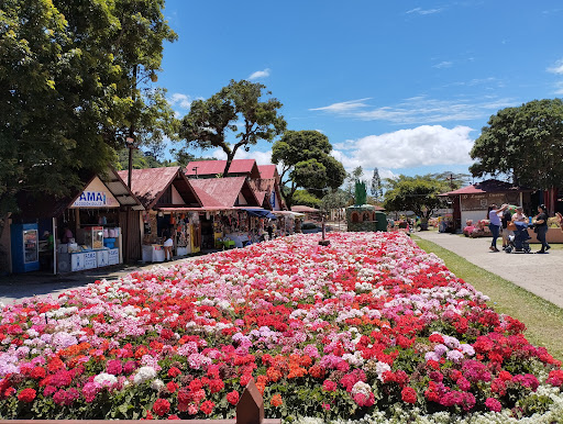 Feria de las flores Boquete