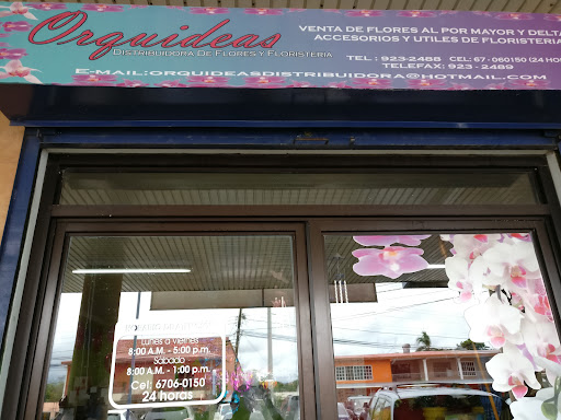 Orquídeas