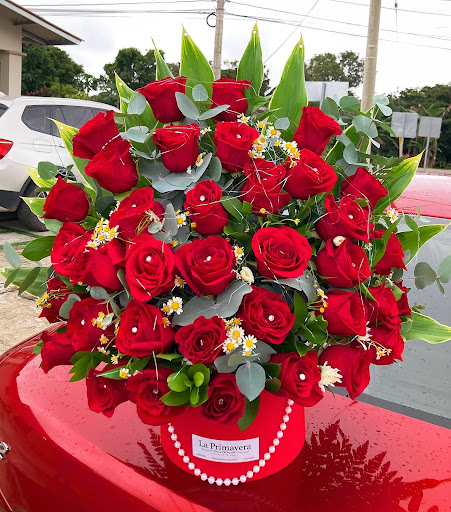 Floristeria La Primavera