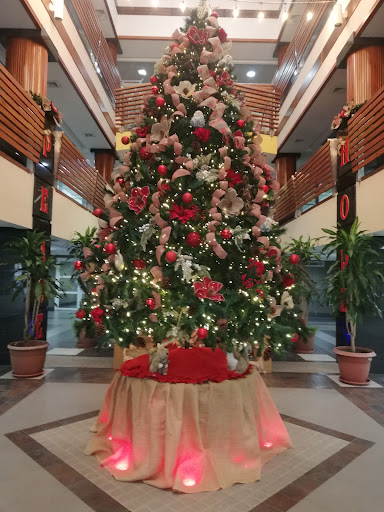M&N Floristería