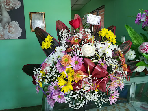 Floristería Kristevel