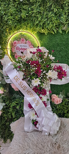Floristería Mundo mágico Aguadulce