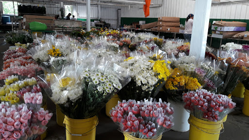 American Flowers
