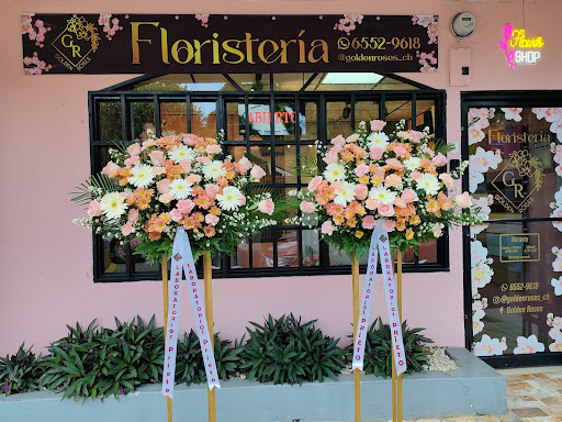 Golden Roses Chiriquí