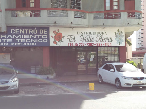 Distribuidora El Valle Floral