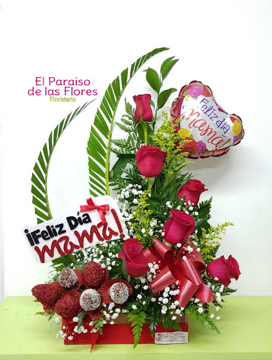El Paraiso De Las Flores | Ave Cuba