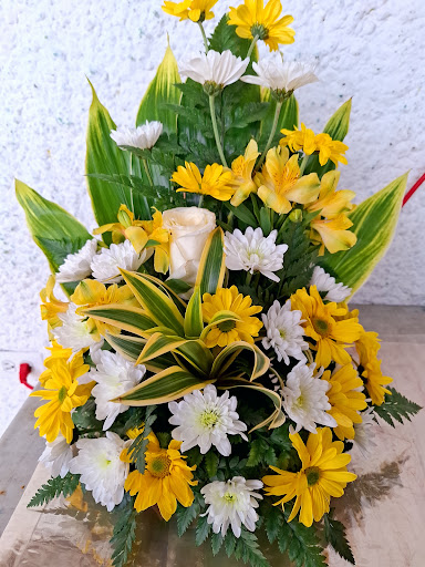Flores la primavera