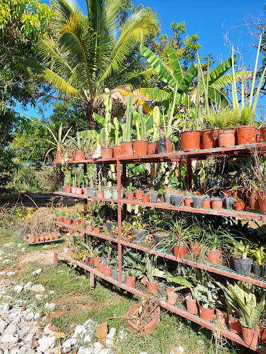 Vivero Calobre