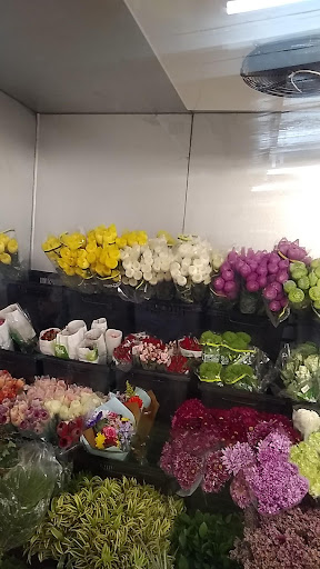 Distribuidora Centroamericana de Flores - Sucursal Obarrio