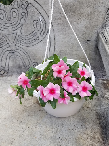 Vivero santafe