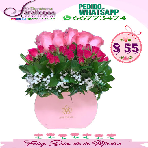 Floristería Farallones Panamá