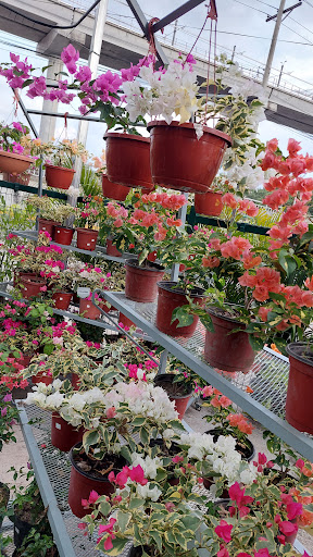 VIVERO MELO GARDEN CENTER