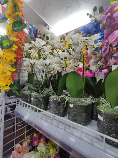 Mundo Floral