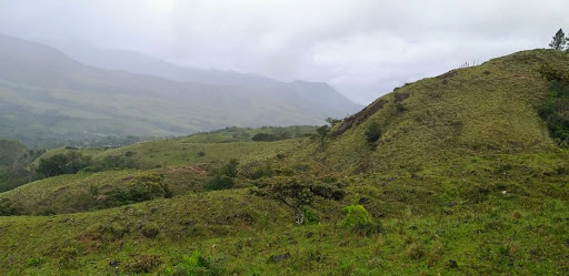Cerro Flores