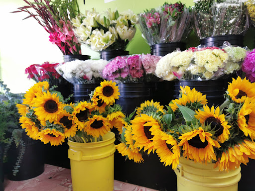 Flores el manantial