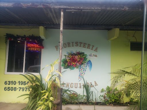 Floristería Changuinola