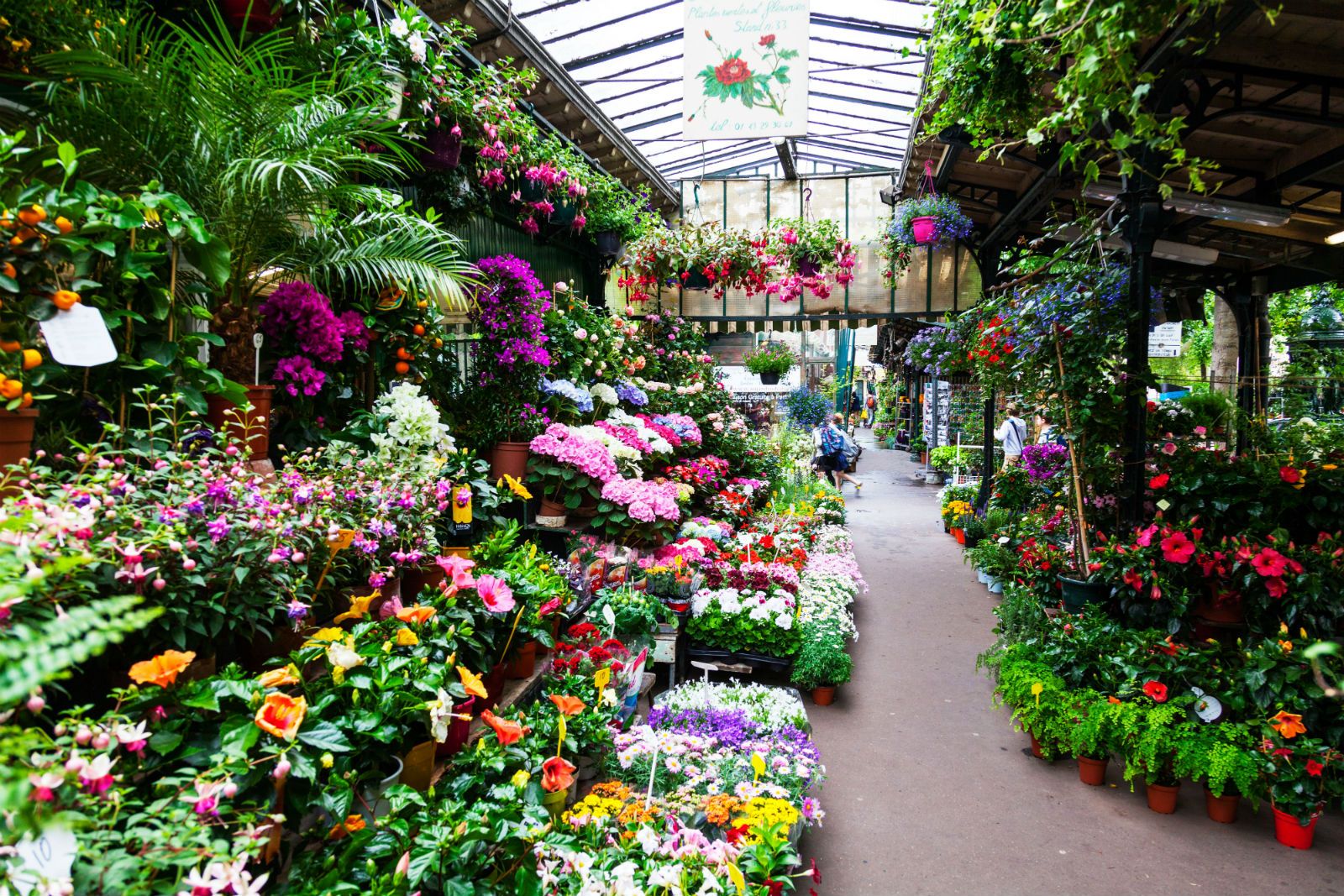 Floristerías en Parita: los mejores arreglos y bouquets para cada ocasión
