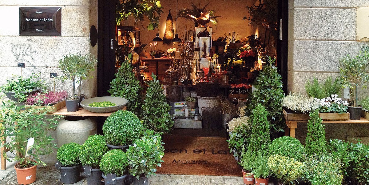 Floristerías en Guararé: Flores frescas y arreglos para toda ocasión