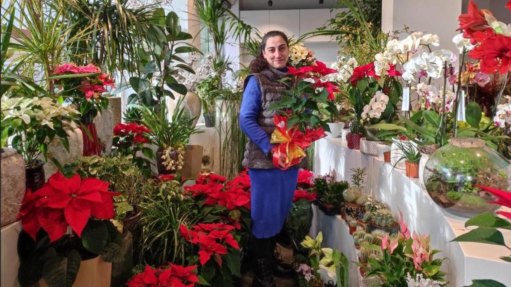 Flores y Arreglos en Calibre: Floristerías de Alta Calidad