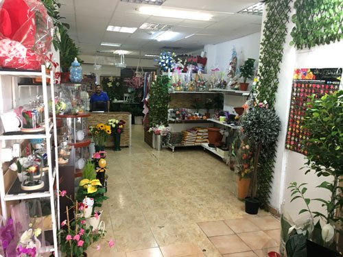 Floristerías en David: Las Mejores Tiendas de Flores y Arreglos