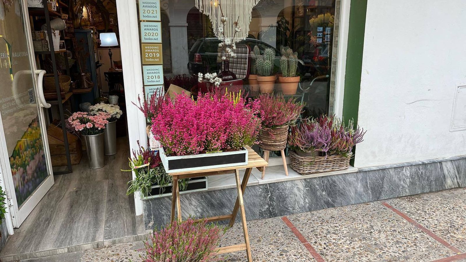 Mejores Floristerías en Almirante: Flores y Arreglos para Toda Ocasión