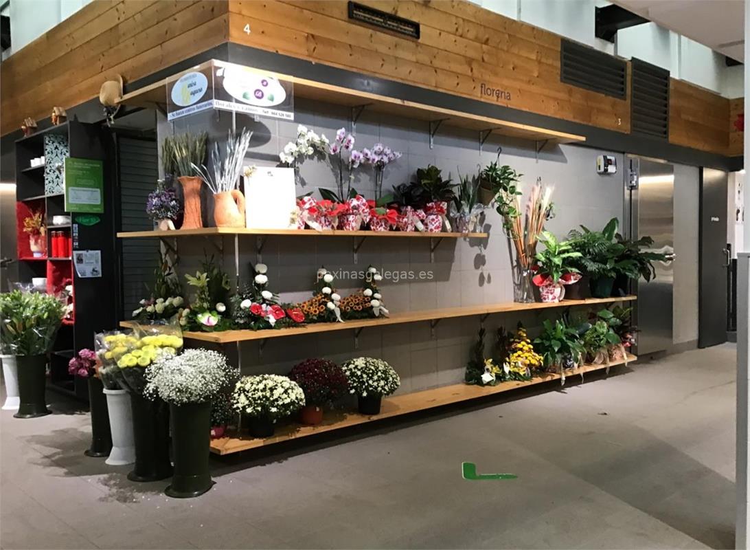 Mejores Floristerías en Boquerón: Ramos y Arreglos Florales para Cada Ocasión