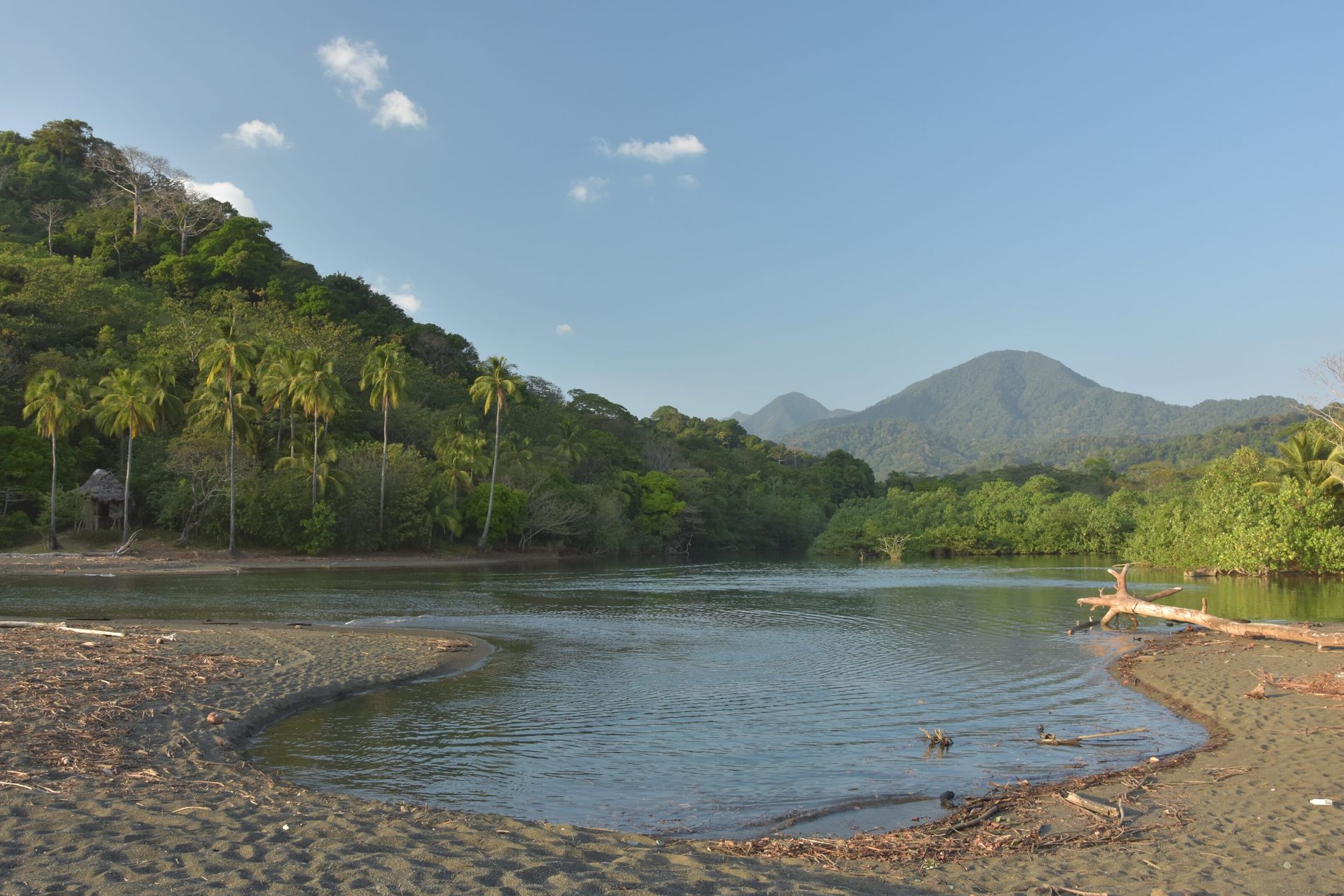 Selva del Darién: Aventura y naturaleza en el tapón entre Colombia y Panamá